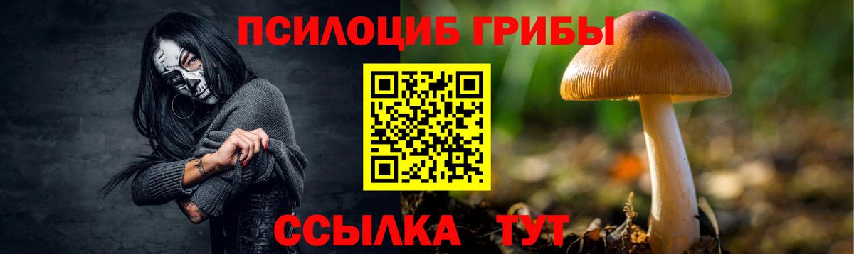 Галлюциногенные грибы Cubensis  Вход с VPN  Всеволожск  Галлюциногенные грибы Magic Shrooms 